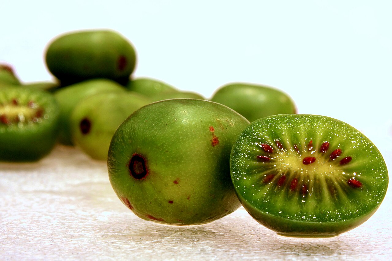 Kiwi Berry 'Anna'