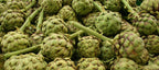 Globe Artichoke 'Green Globe'