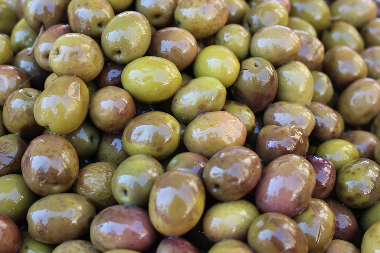 Olive 'El Greco'