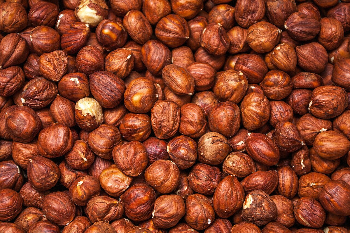 Hazelnut 'Corabel'