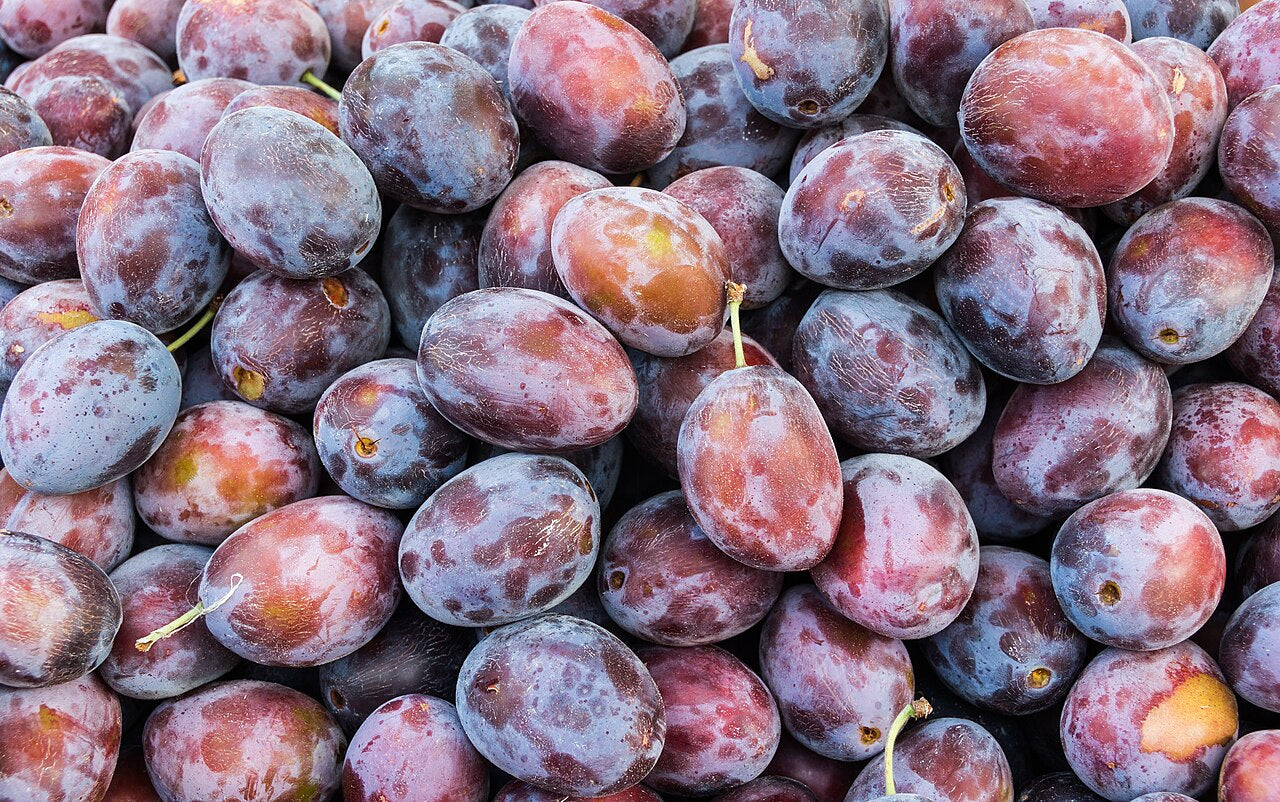Damson