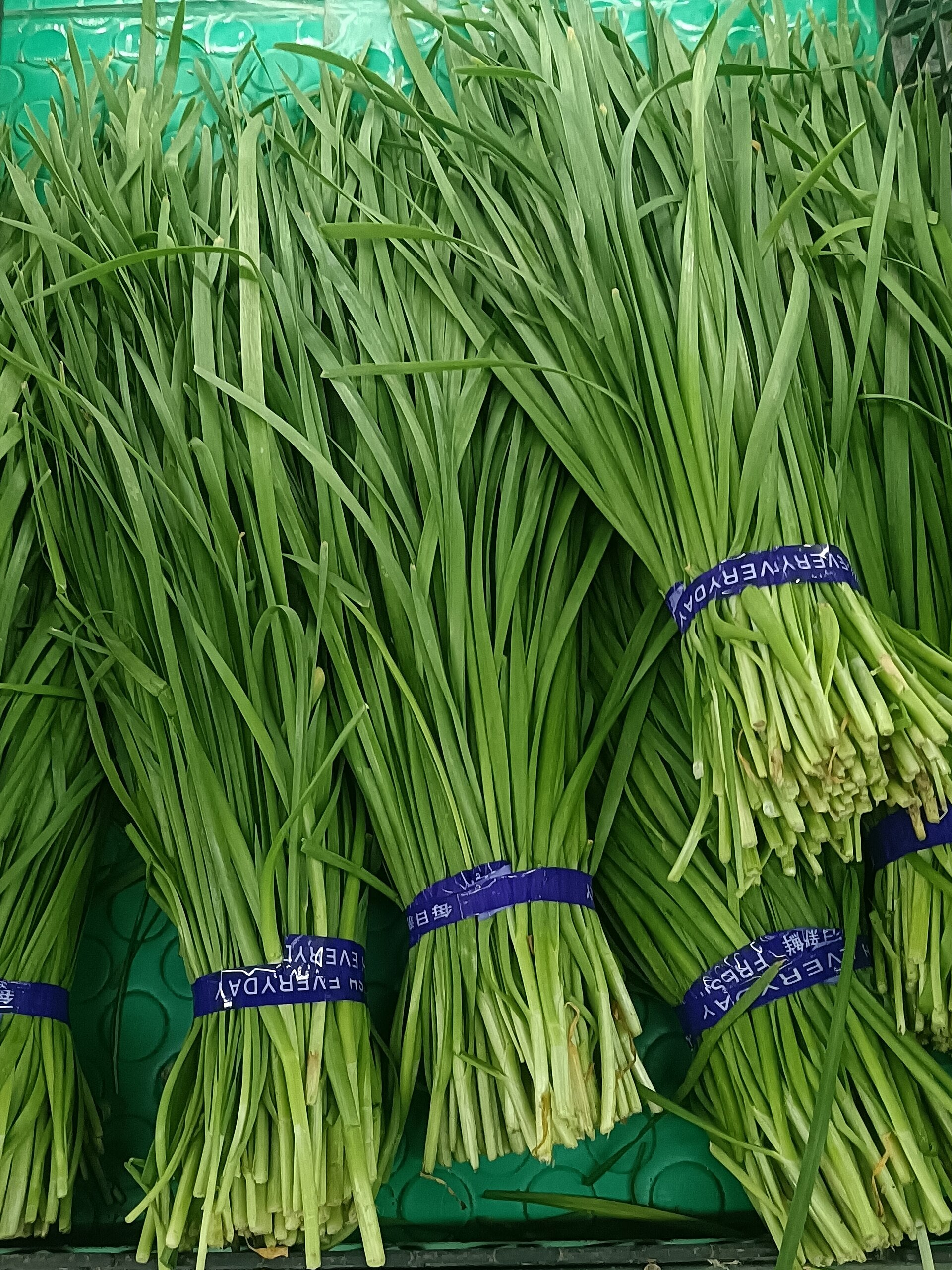 Garlic Chives