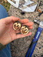 Black Walnut 'Bicentennial'