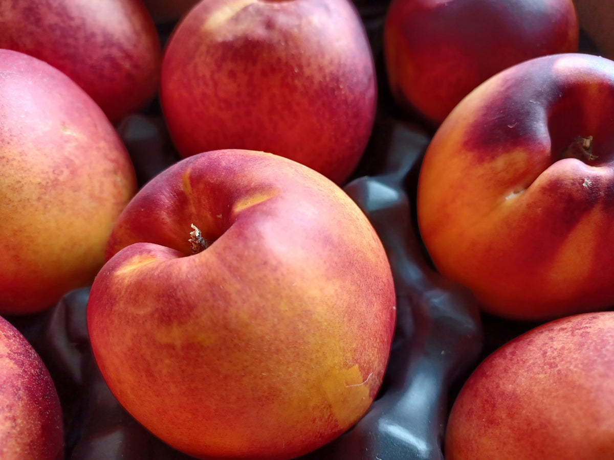 Nectarine 'Pineapple'