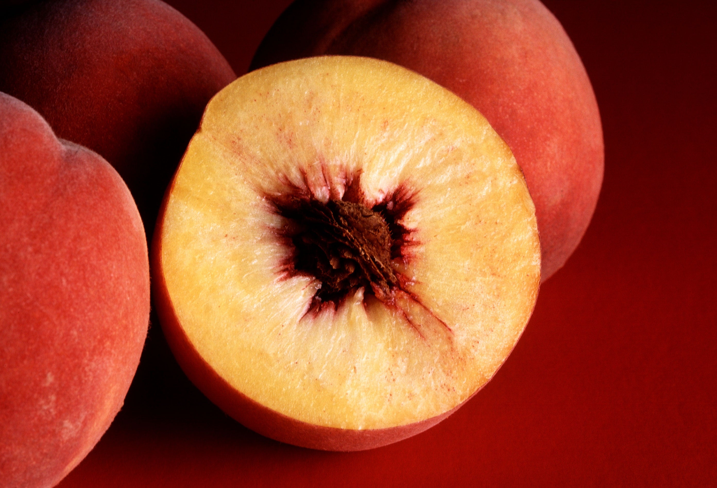 Peach 'Avalon Pride'