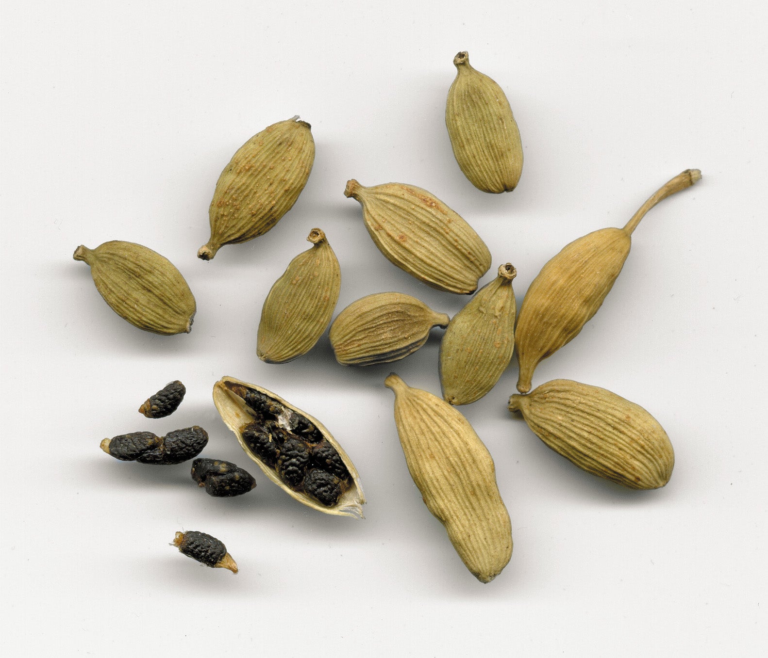Green Cardamom