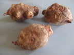 Jerusalem Artichoke