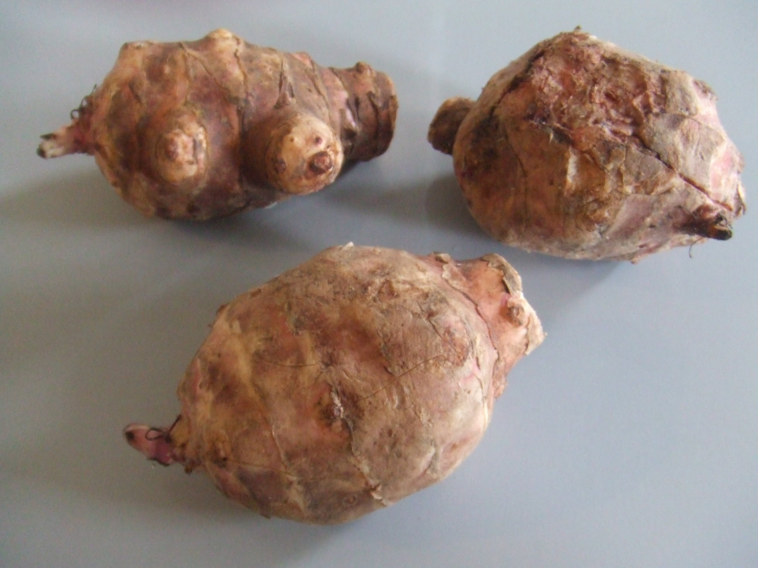 Jerusalem Artichoke