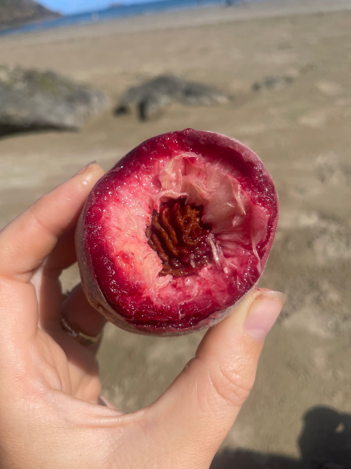 Blood Peach
