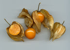 Peruvian Ground Cherry 'Giant'