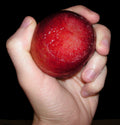 Plumcot 'Flavor King'