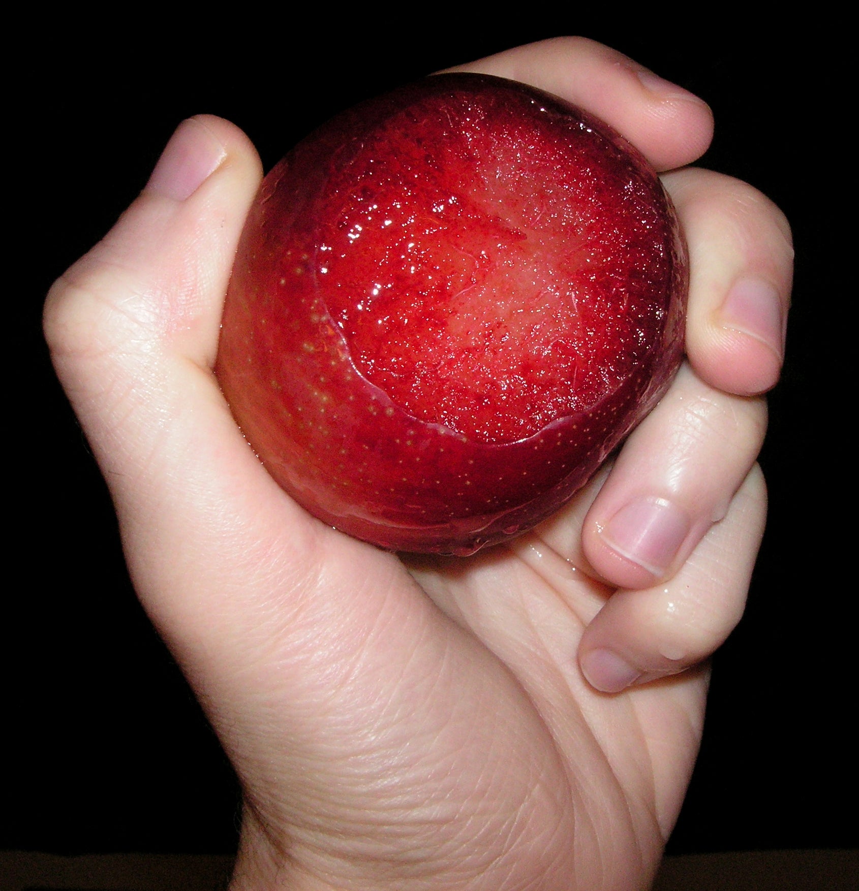 Plumcot 'Flavor King'